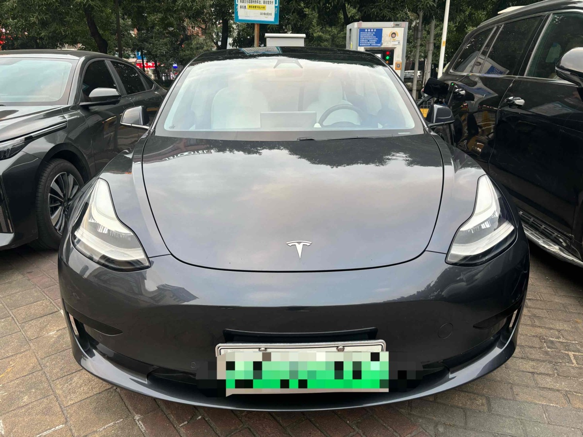 特斯拉 Model 3  2019款 標(biāo)準(zhǔn)續(xù)航后驅(qū)升級版圖片