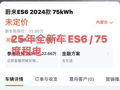 2025年1月 蔚來 ES6 75kWh圖片