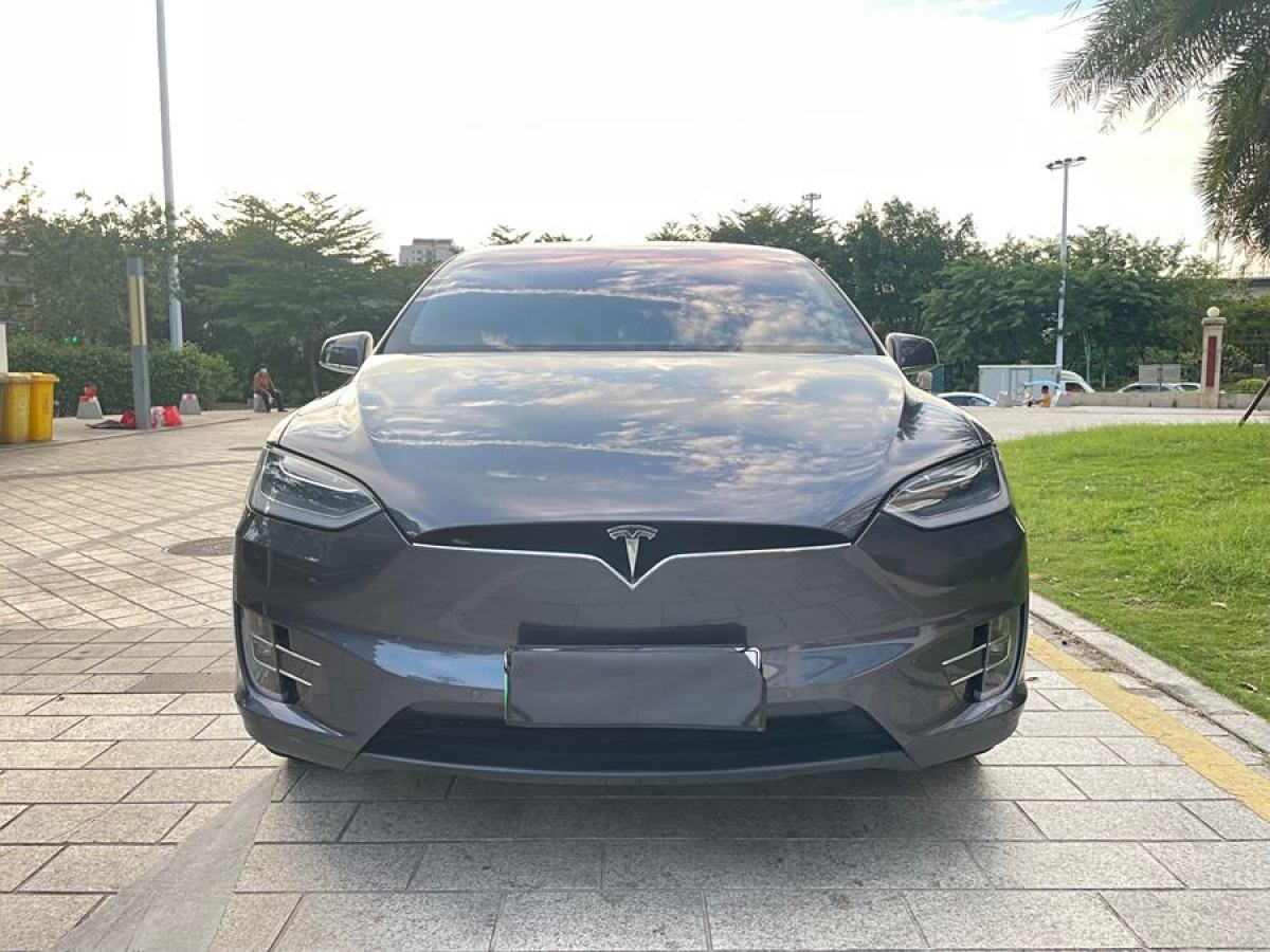 特斯拉 Model X  2019款 長續(xù)航版圖片