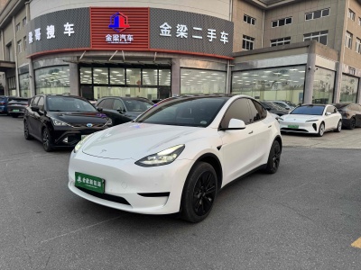 2023年8月 特斯拉 Model 3 改款 長續(xù)航后輪驅(qū)動版圖片