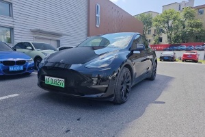 Model Y 特斯拉 標準續(xù)航后驅版