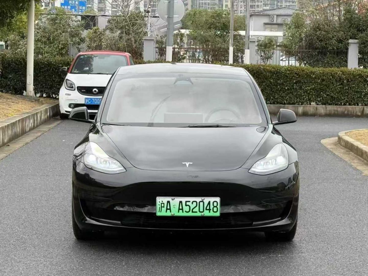 2022年9月特斯拉 Model 3  2022款 Performance高性能全輪驅(qū)動版