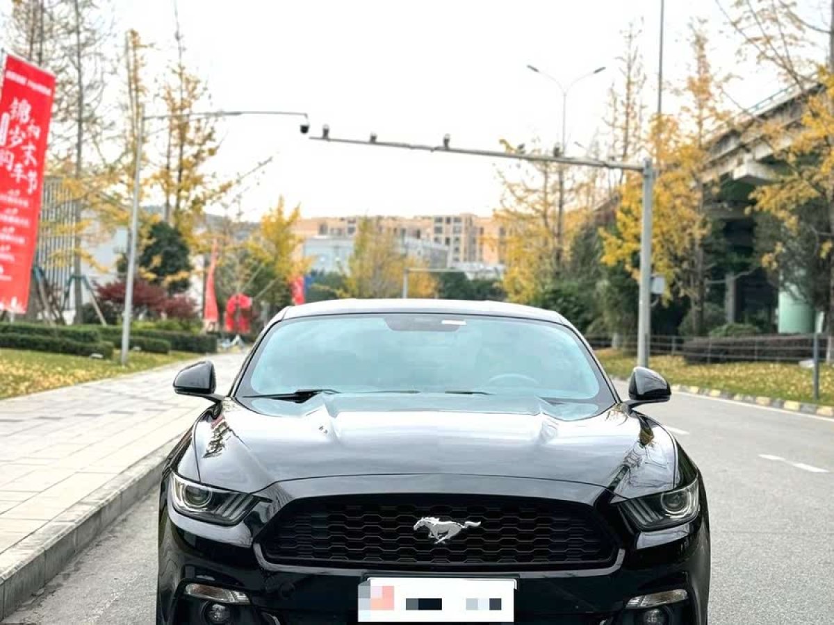 2016年3月福特 Mustang  2016款 2.3T 性能版