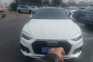 奧迪A5 奧迪 Cabriolet 40 TFSI 時(shí)尚動(dòng)感型