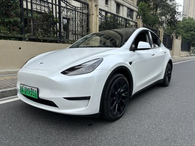 2022年1月 特斯拉 Model Y 長續(xù)航煥新版 雙電機全輪驅(qū)動圖片