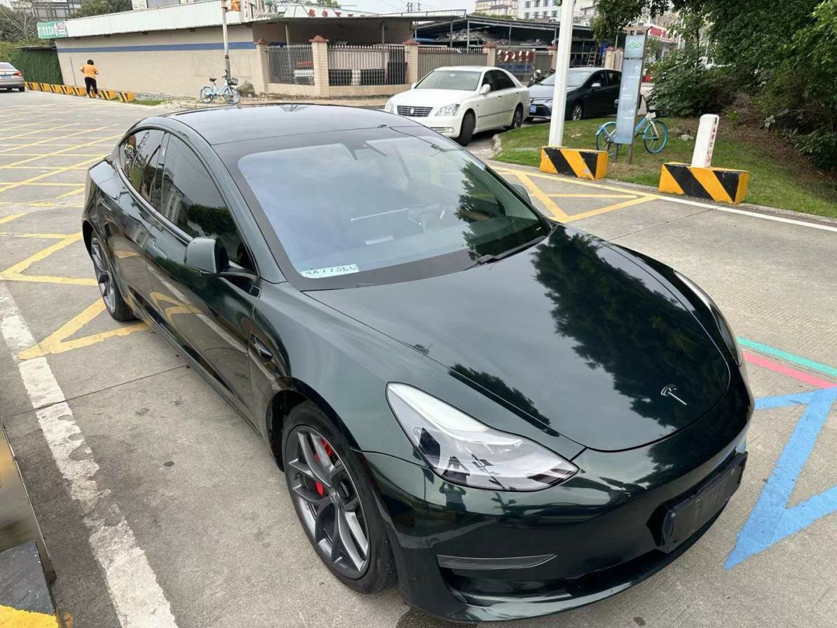 特斯拉 Model S  2021款 Performance 高性能版圖片