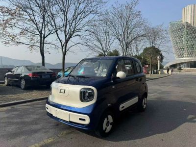 2025年1月 奔騰 奔騰小馬 222km 伶俐馬圖片