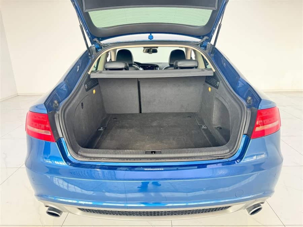 奧迪 奧迪A5  2010款 2.0TFSI Sportback 舒適型圖片