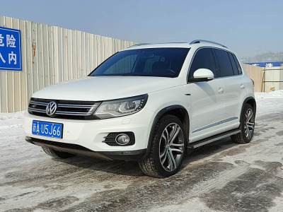 2014年2月 大眾 Tiguan(進(jìn)口) 2.0TSI 專享版圖片