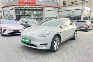 Model Y 特斯拉 改款 长续航后轮驱动版