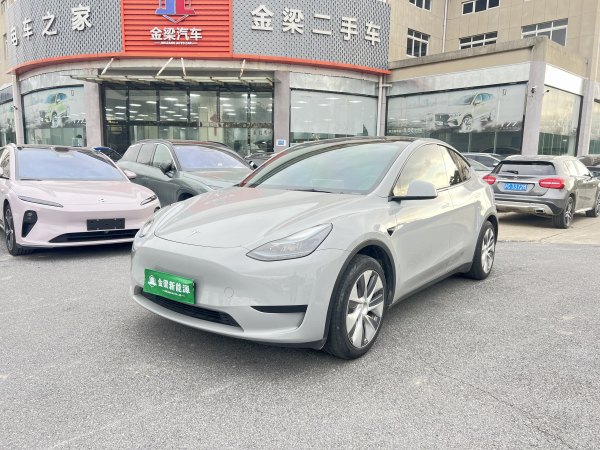 特斯拉 Model Y  2020款 改款 长续航后轮驱动版