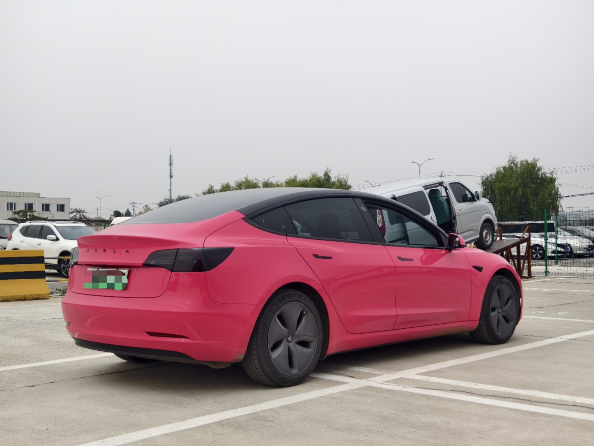 特斯拉 Model 3  2019款 標(biāo)準(zhǔn)續(xù)航后驅(qū)升級(jí)版圖片