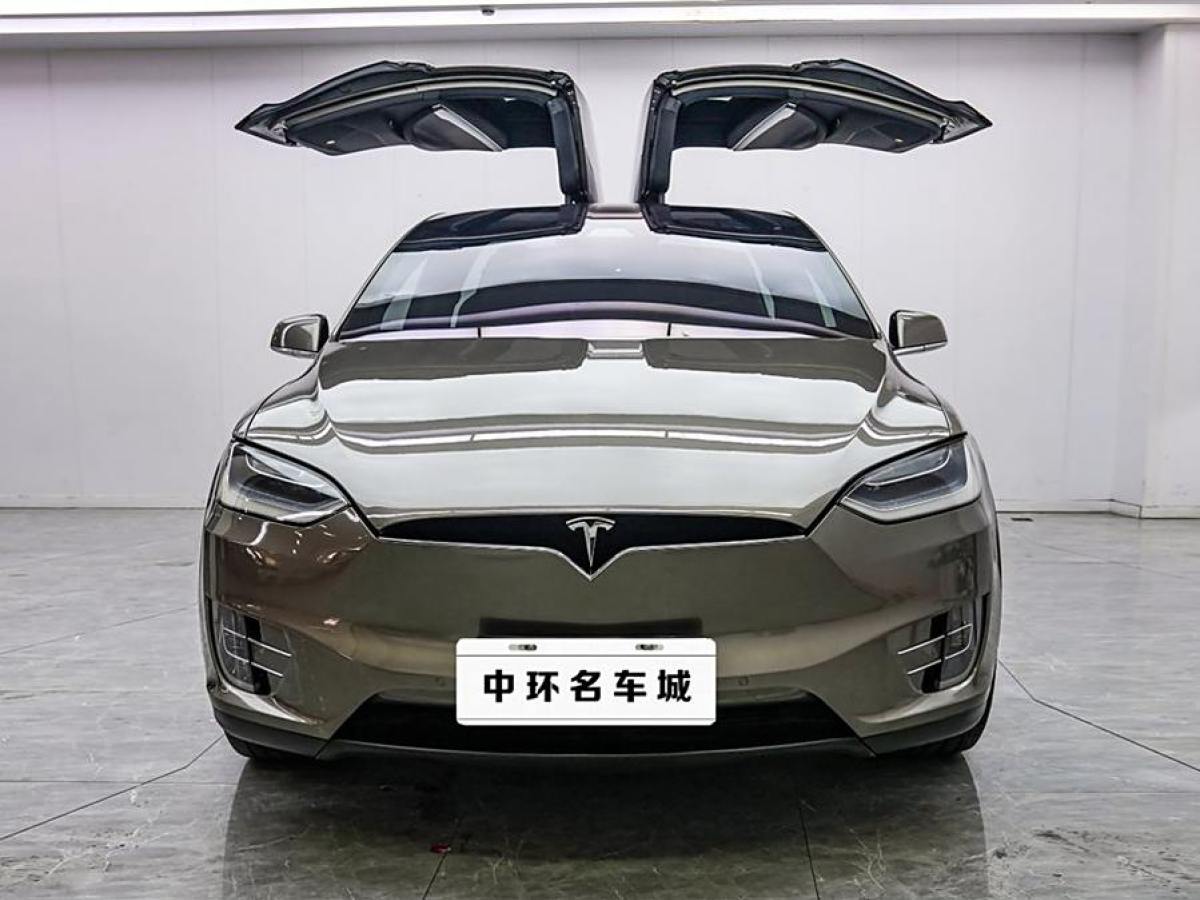 特斯拉 Model X  2016款 Model X 60D圖片