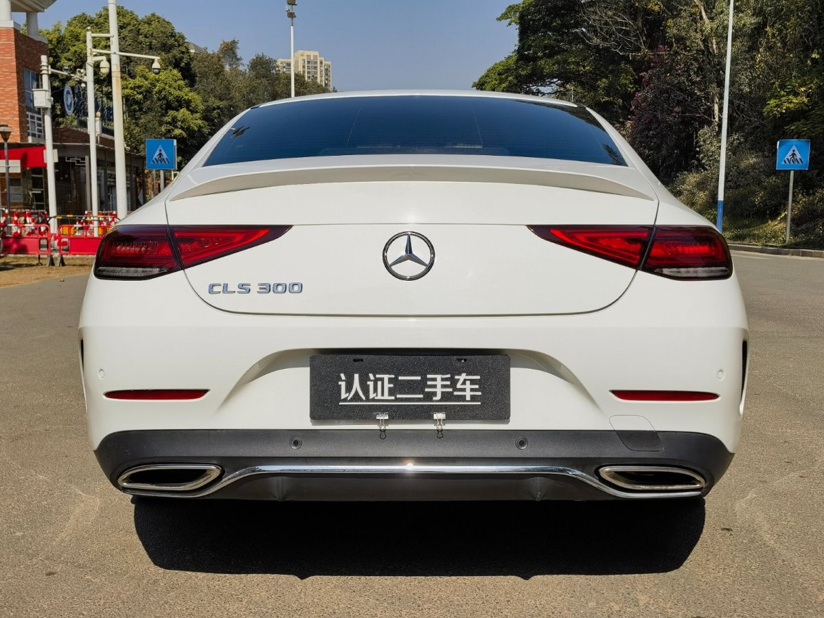 奔馳 奔馳CLS級(jí)  2021款 CLS 300 豪華型圖片