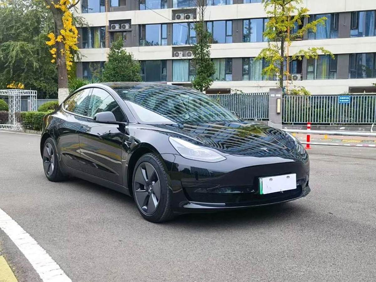 特斯拉 Model 3  2021款 改款 標(biāo)準(zhǔn)續(xù)航后驅(qū)升級版圖片