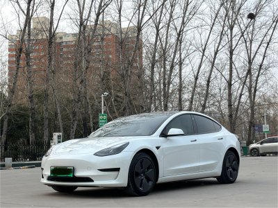 2023年3月 特斯拉 Model 3 標準續(xù)航后驅(qū)升級版圖片