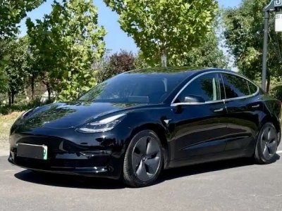 2020年8月 特斯拉 Model Y 改款 长续航后轮驱动版图片