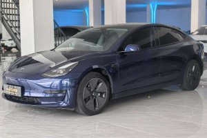 Model 3 特斯拉 后輪驅(qū)動版