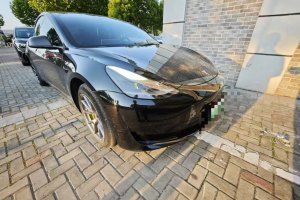 Model 3 特斯拉 后輪驅(qū)動版