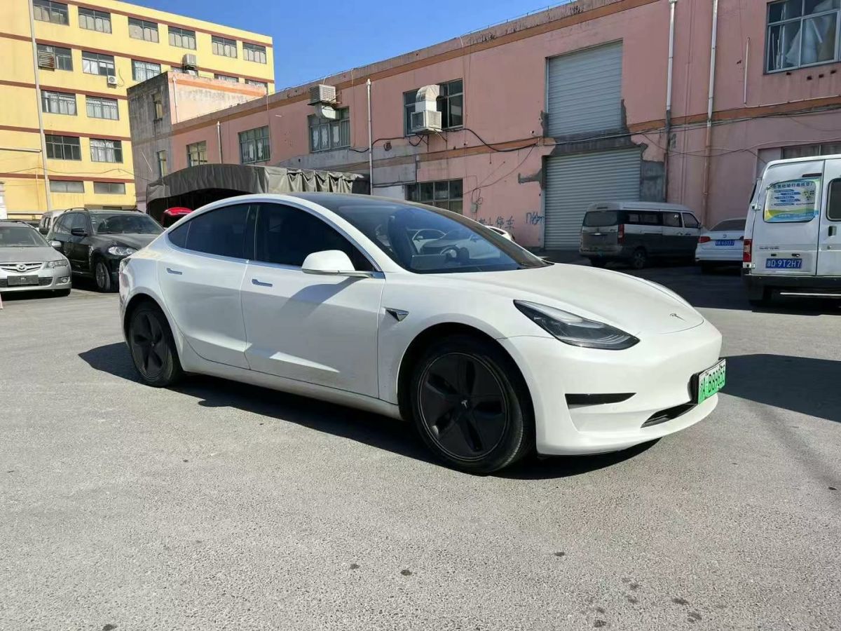 特斯拉 Model X  2020款 Performance 高性能版圖片