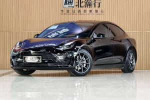 Model 3 特斯拉 標準續(xù)航后驅(qū)升級版 3D6