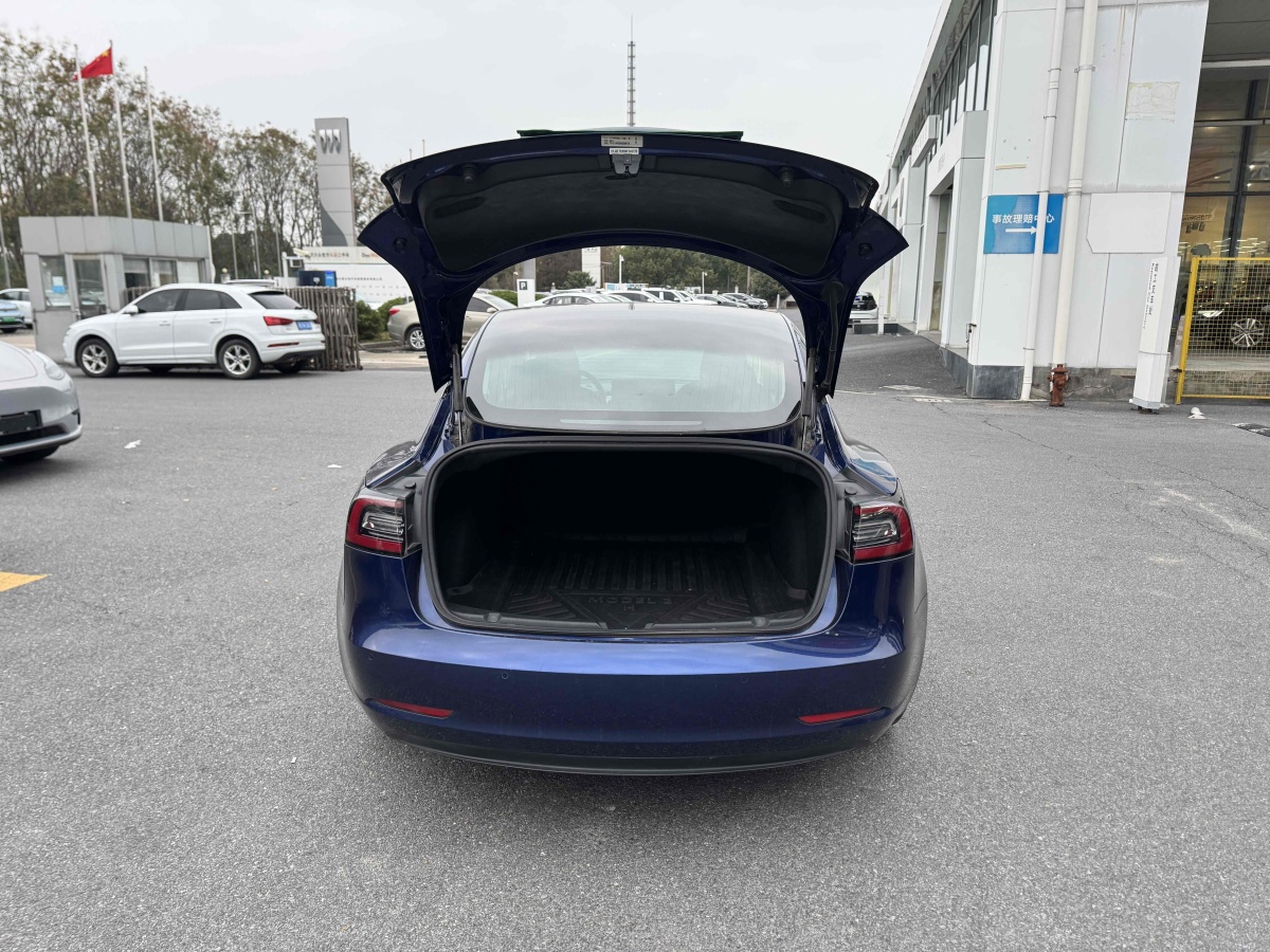 特斯拉 Model 3  2019款 長續(xù)航全輪驅(qū)動版圖片