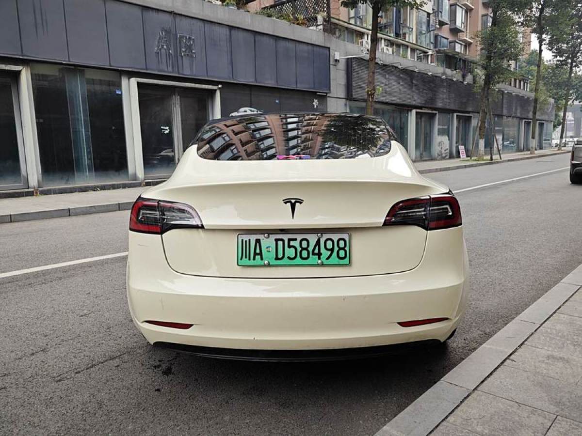 特斯拉 Model 3  2020款 改款 標(biāo)準(zhǔn)續(xù)航后驅(qū)升級版圖片