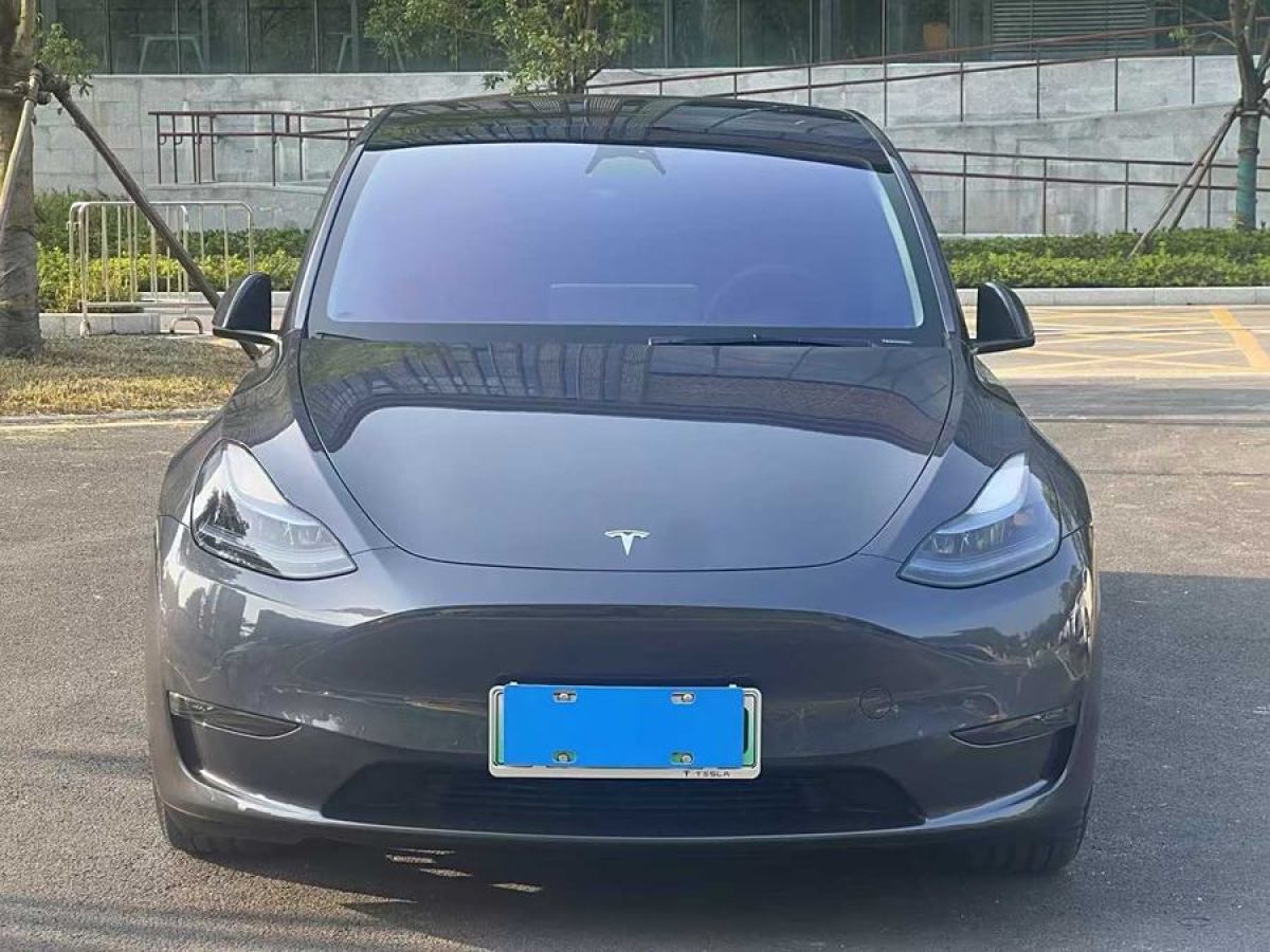 特斯拉 Model Y  2021款 改款 Performance高性能全輪驅(qū)動版圖片