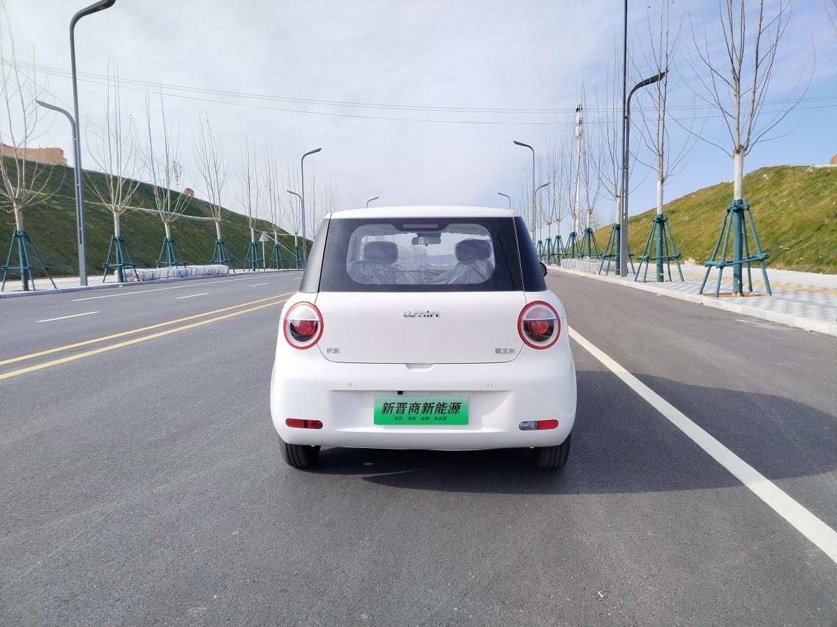 長(zhǎng)安 長(zhǎng)安Lumin  2024款 205km 啟航版圖片