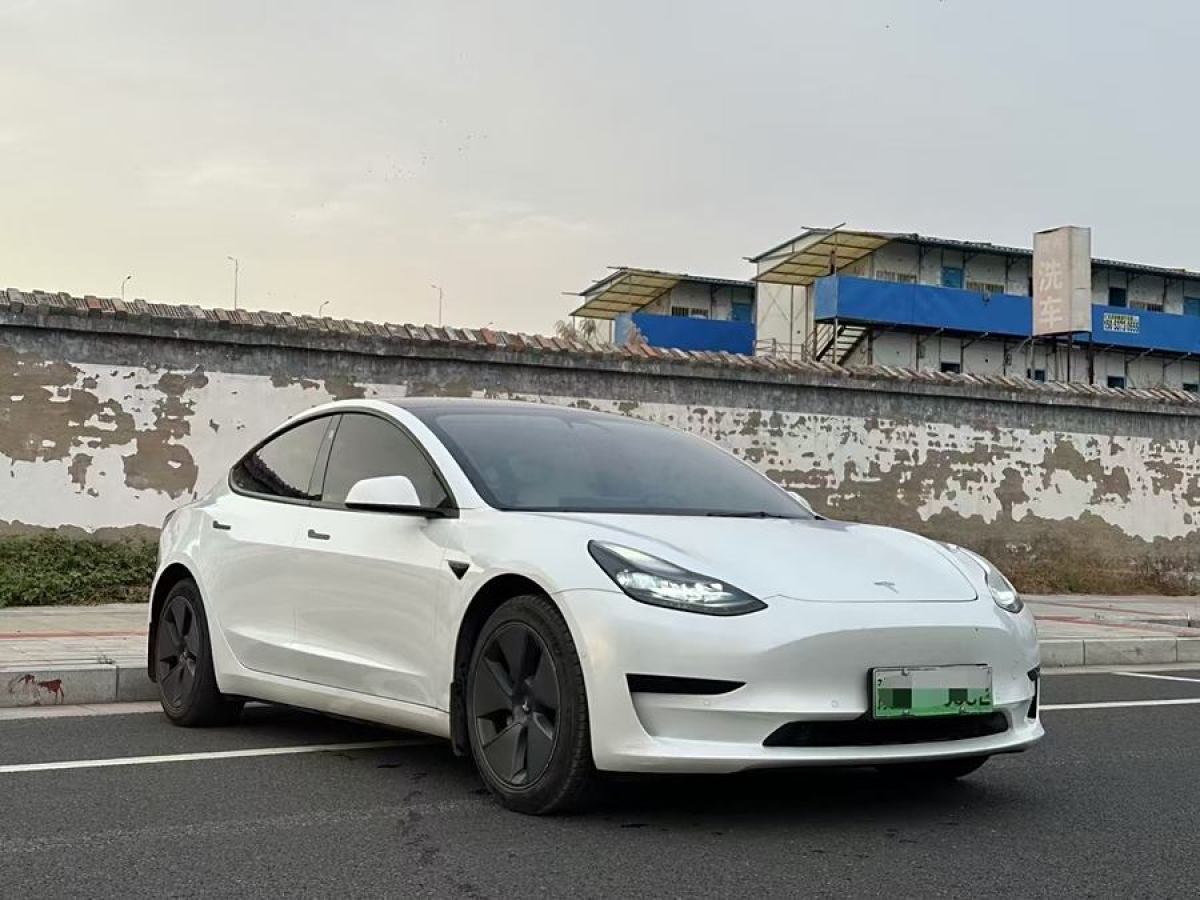 特斯拉 Model 3  2021款 標(biāo)準(zhǔn)續(xù)航后驅(qū)升級(jí)版 3D6圖片