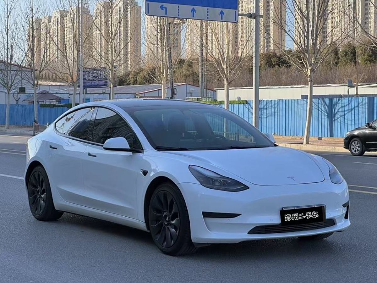 特斯拉 Model 3  2021款 改款 標(biāo)準(zhǔn)續(xù)航后驅(qū)升級版圖片