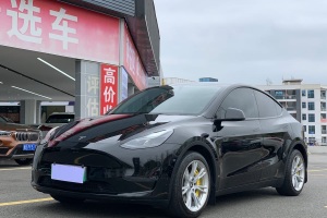 Model Y 特斯拉 改款 長(zhǎng)續(xù)航全輪驅(qū)動(dòng)版