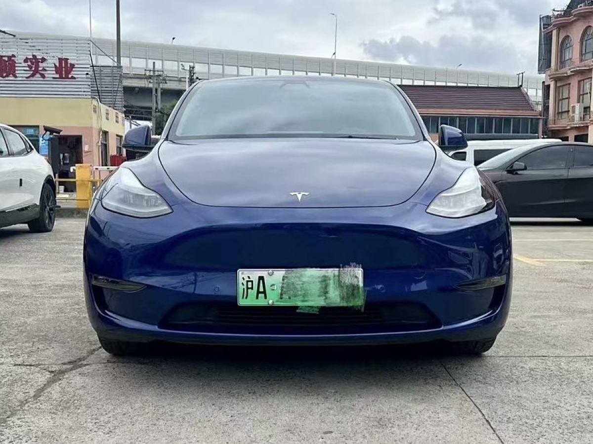 特斯拉 Model Y  2021款 改款二 長續(xù)航全輪驅(qū)動版圖片