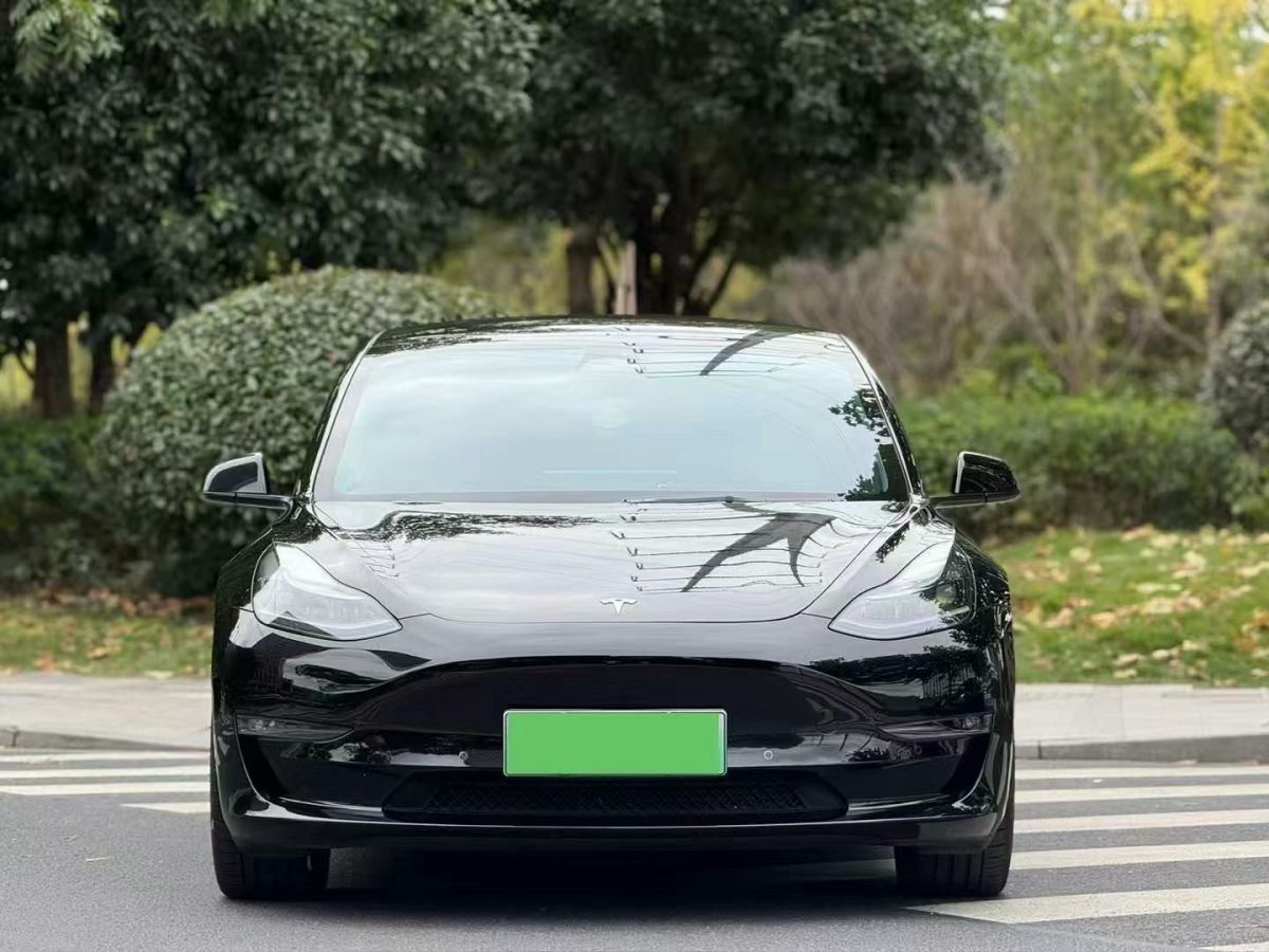 特斯拉 Model S  2023款 三電機(jī)全輪驅(qū)動(dòng) Plaid版圖片