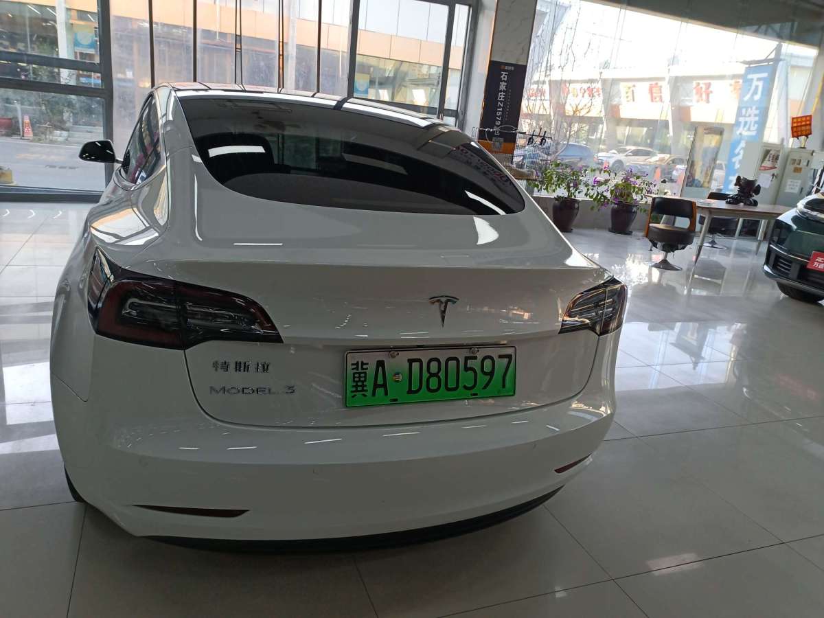 特斯拉 Model 3  2019款 標(biāo)準(zhǔn)續(xù)航后驅(qū)升級(jí)版圖片