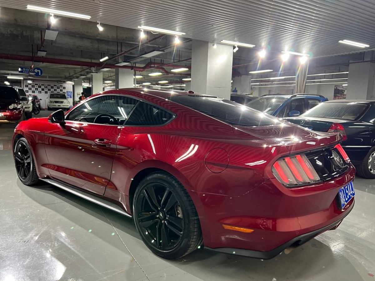 福特 Mustang  2015款 2.3T 性能版圖片