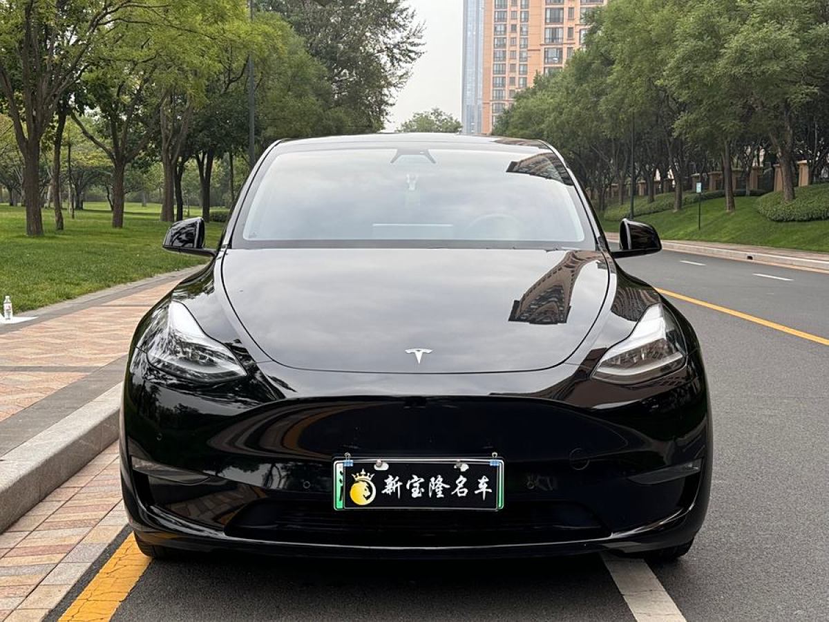 特斯拉 Model 3  2021款 改款 長(zhǎng)續(xù)航全輪驅(qū)動(dòng)版圖片