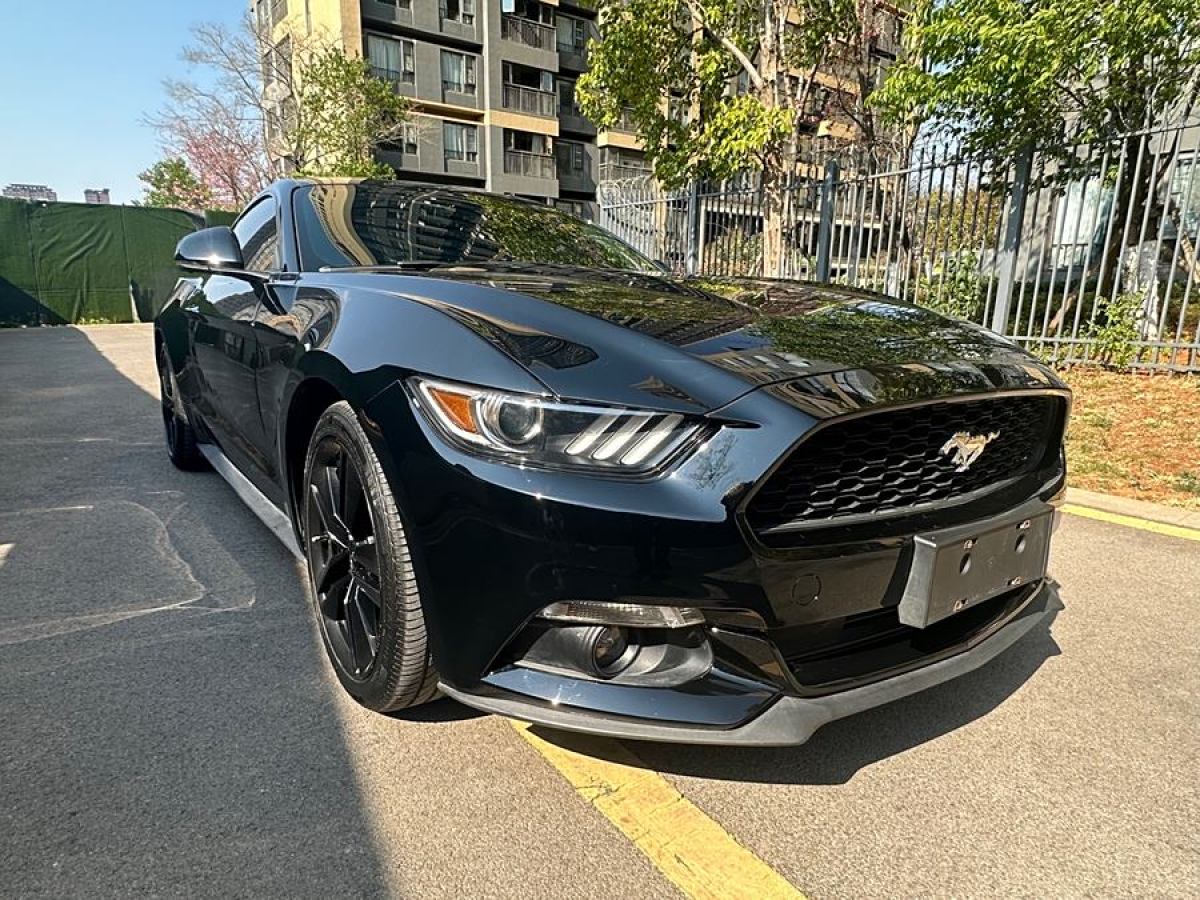 福特 Mustang  2015款 2.3T 性能版圖片