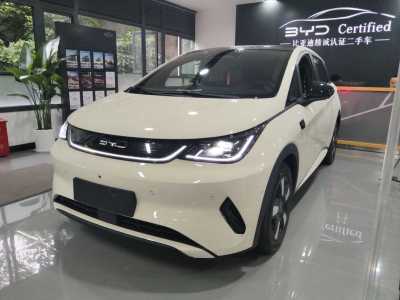 2025年3月 比亞迪 海豚 智駕版 410km 時(shí)尚版圖片