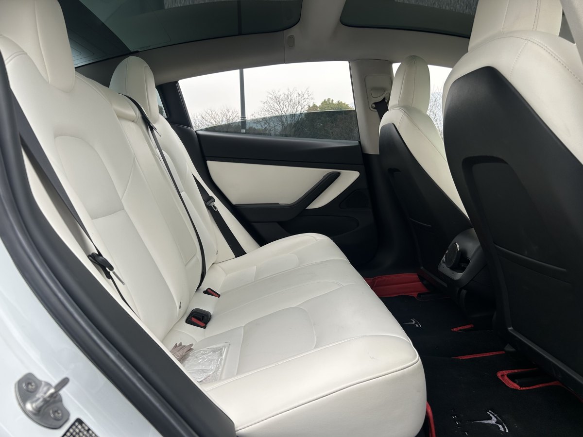 特斯拉 Model 3  2019款 標準續(xù)航后驅(qū)升級版圖片