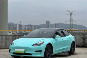 Model 3 特斯拉 標準續(xù)航后驅(qū)升級版