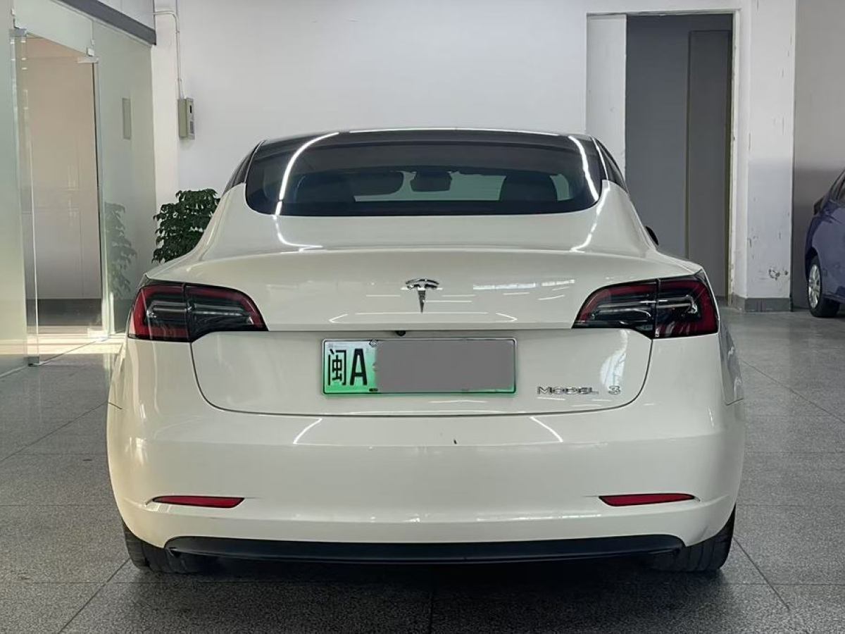 特斯拉 Model 3  2021款 改款 標(biāo)準(zhǔn)續(xù)航后驅(qū)升級(jí)版圖片