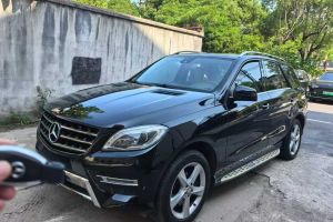 威霆 奔馳 3.0L 精英版