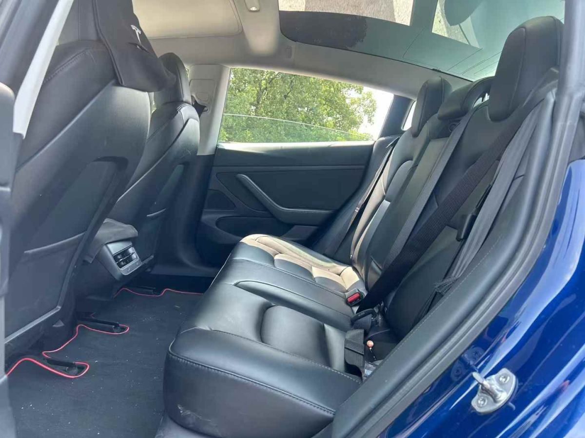 特斯拉 Model 3  2020款 標(biāo)準(zhǔn)續(xù)航后驅(qū)升級版圖片