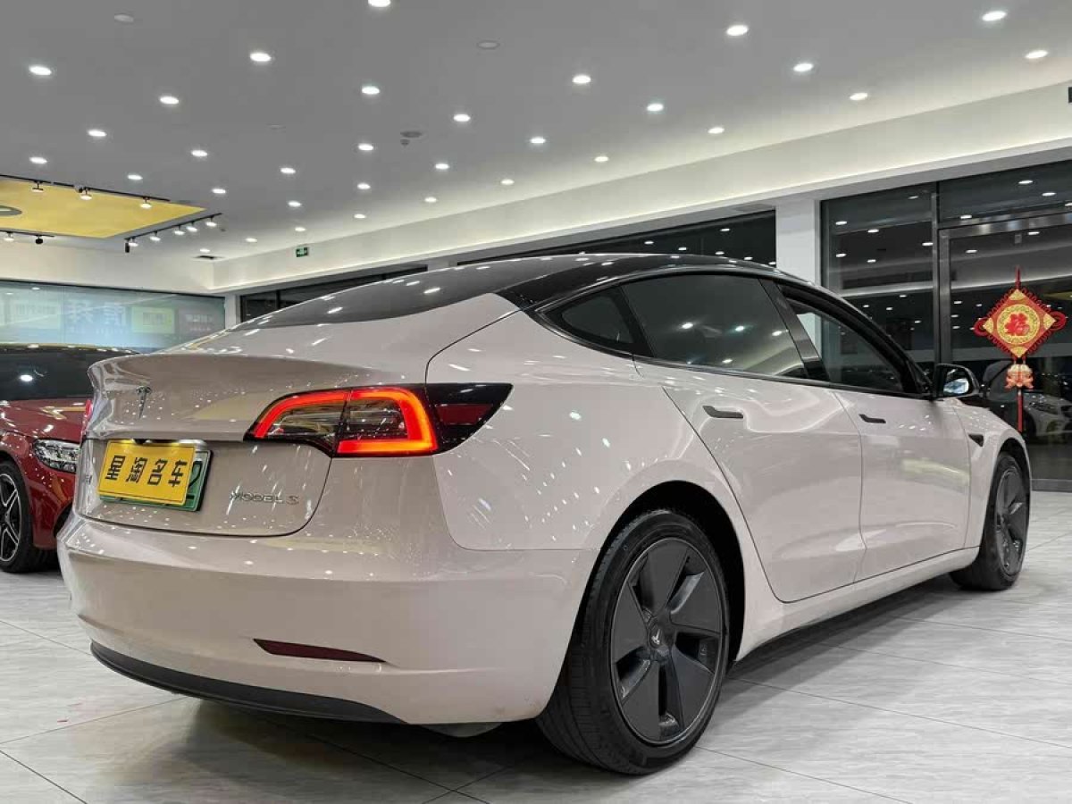 特斯拉 Model 3  2022款 后輪驅(qū)動(dòng)版圖片