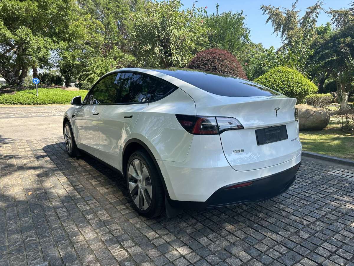 特斯拉 Model Y  2022款 后驅(qū)版圖片