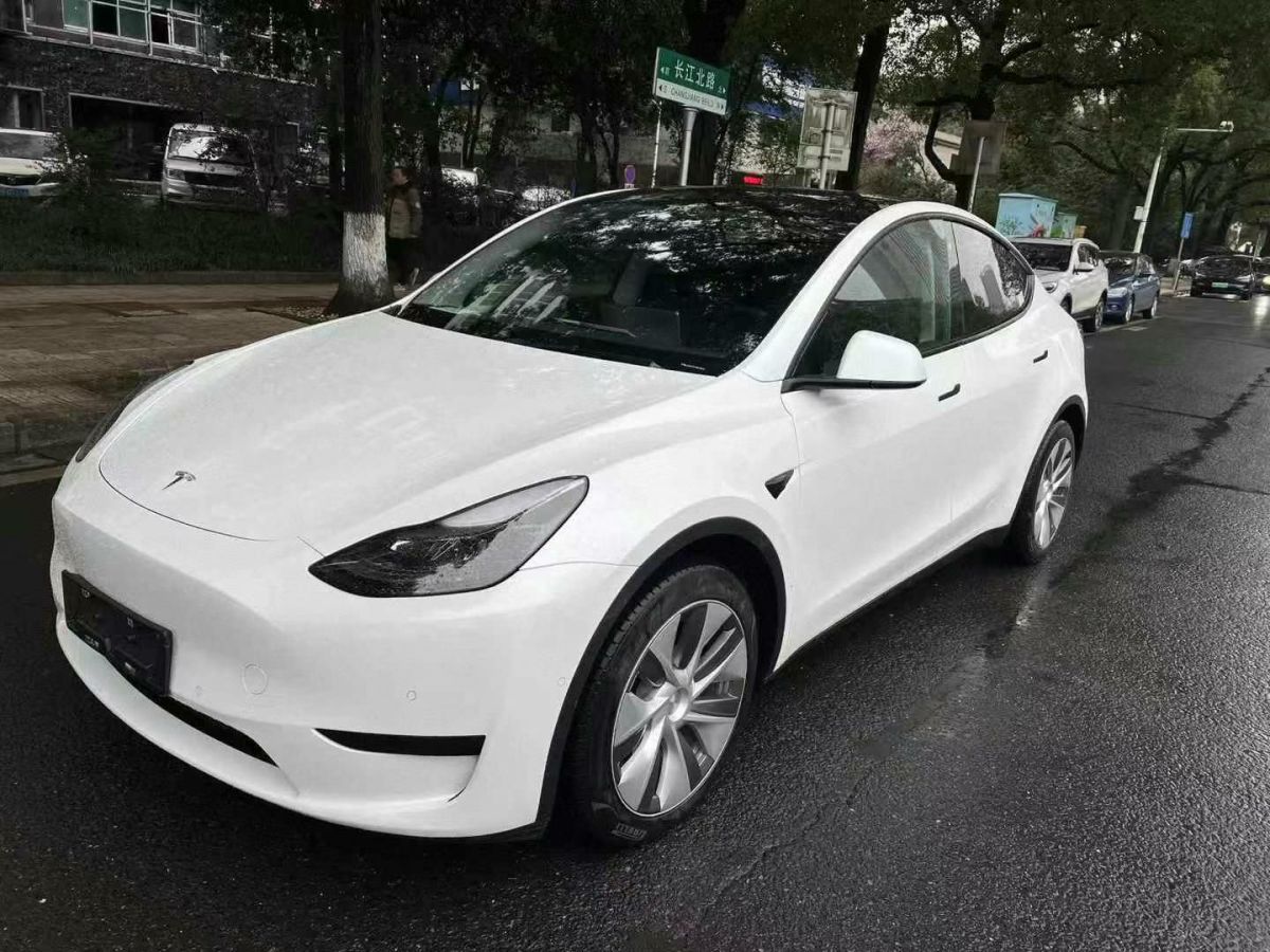 特斯拉 Model 3  2022款 Performance高性能全輪驅(qū)動版圖片