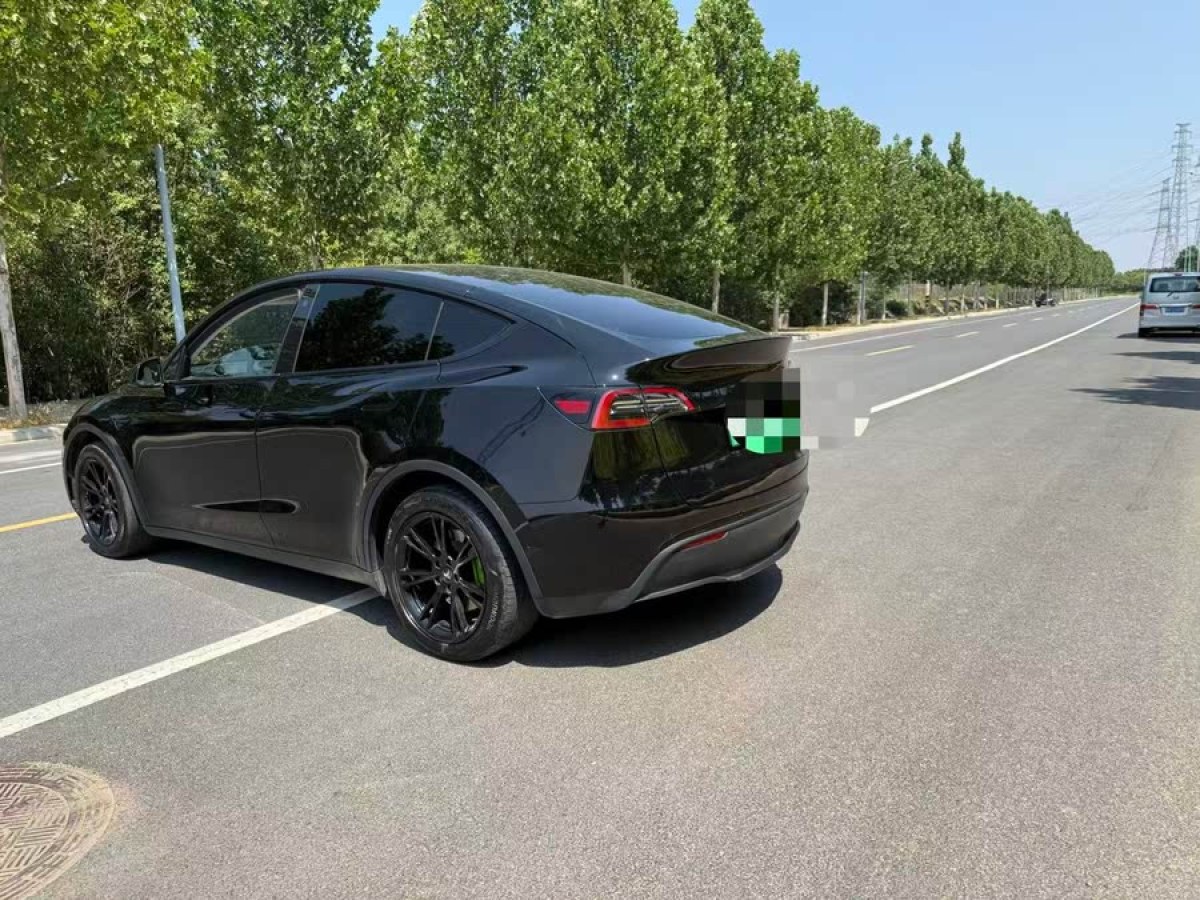 特斯拉 Model Y  2021款 標(biāo)準(zhǔn)續(xù)航后驅(qū)版圖片
