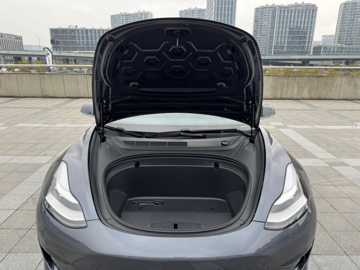 特斯拉 Model 3  2019款 標準續(xù)航后驅(qū)升級版圖片