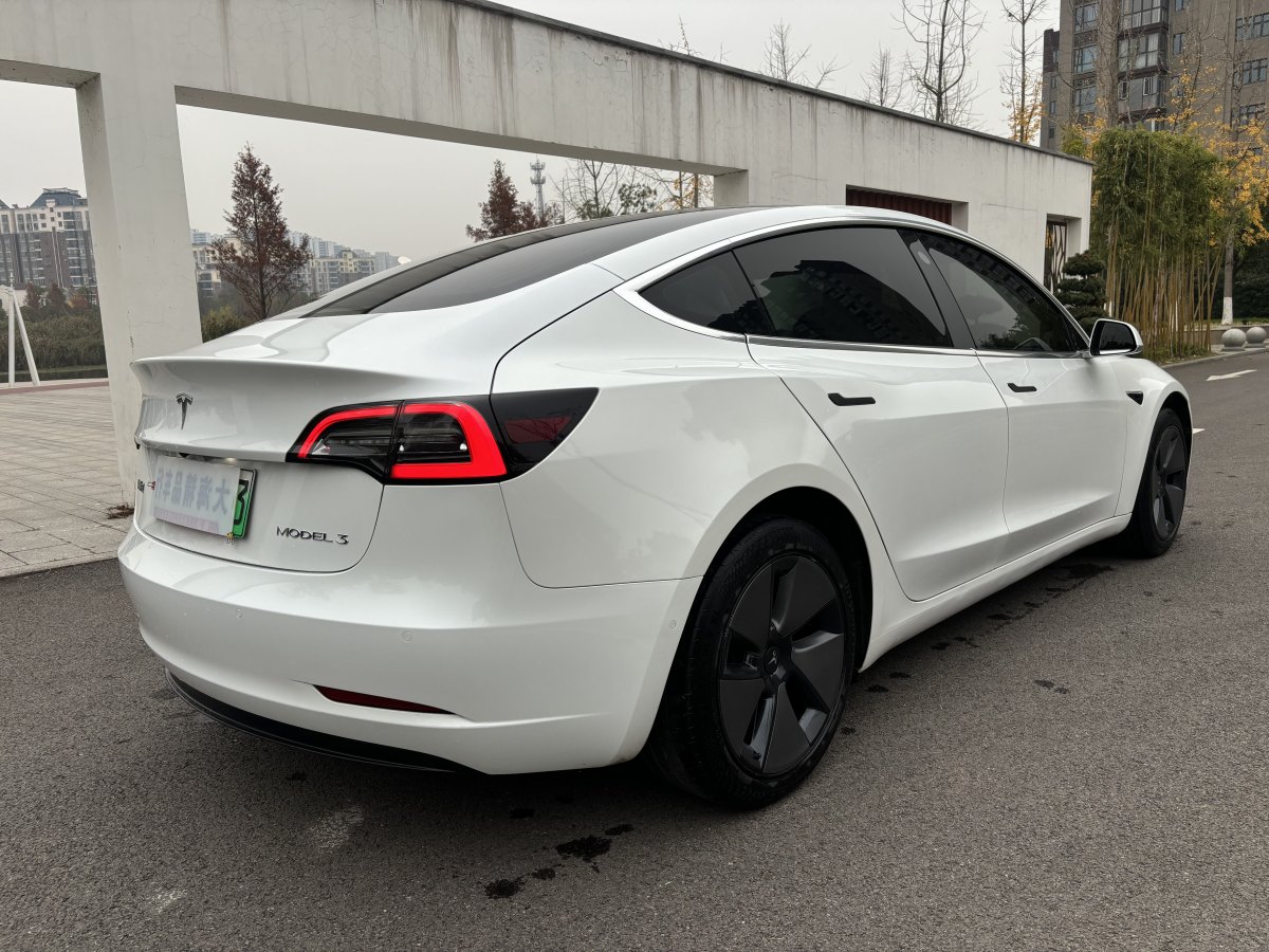 特斯拉 Model 3  2019款 標(biāo)準(zhǔn)續(xù)航后驅(qū)升級(jí)版圖片